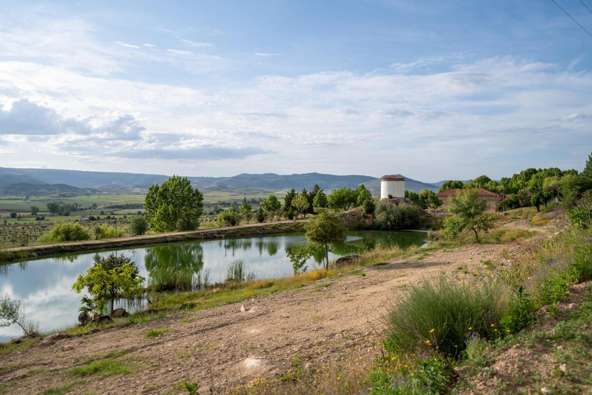 Гостевой дом Quinta Da Terrincha Торри-ди-Монкорву Экстерьер фото