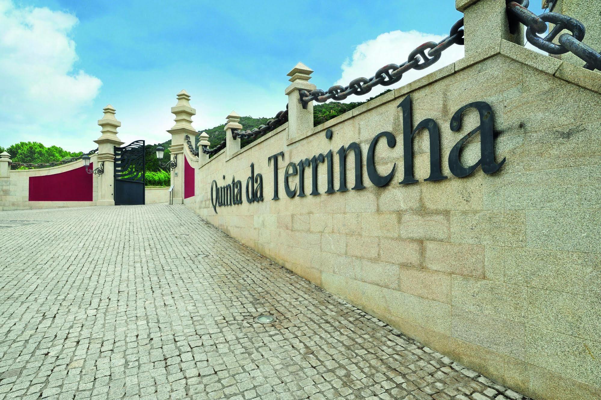 Гостевой дом Quinta Da Terrincha Торри-ди-Монкорву Экстерьер фото